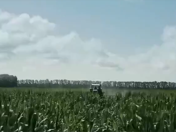 玉米地高地隙自走式噴桿噴霧機(jī)作業(yè)視頻